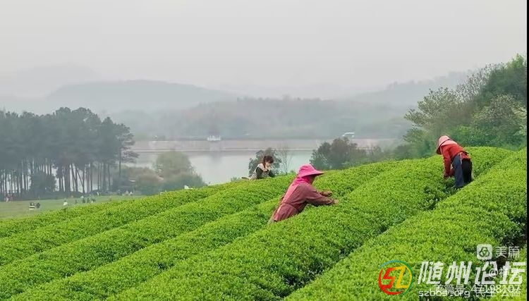 微信圖片_20230418104800.jpg